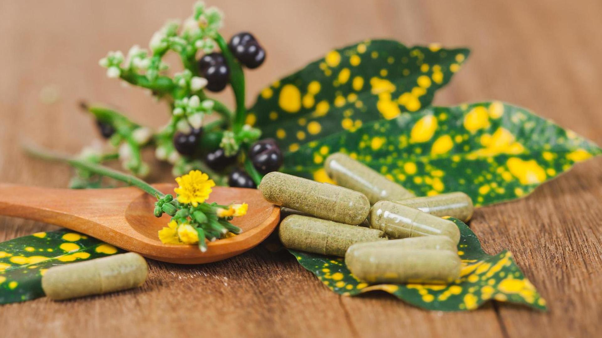 Herbal Remedies and Supplement Protocol