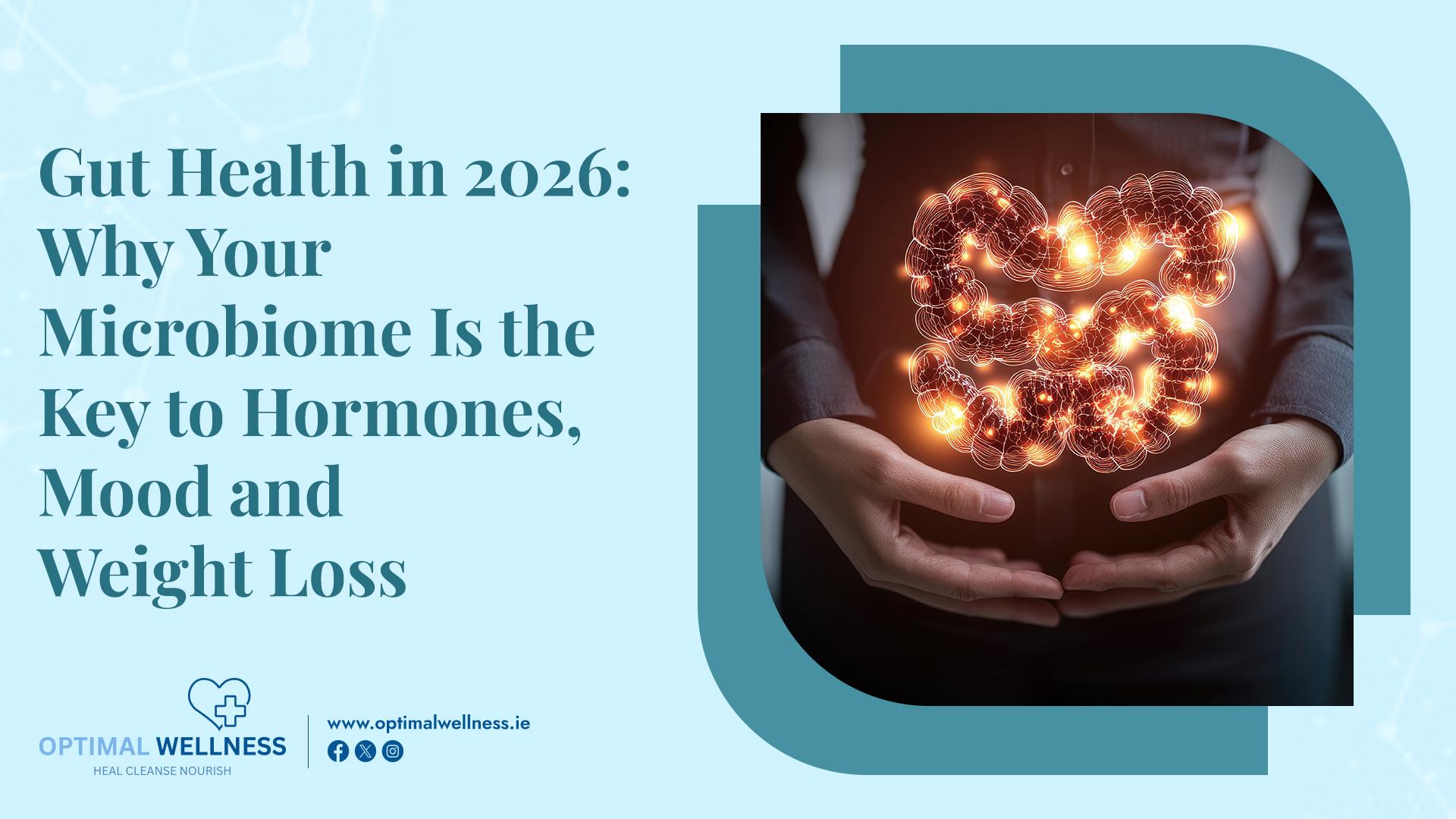 Gut Health in 2026 Why Your Microbiome Is the Key to Hormones, Mood and Weight Loss