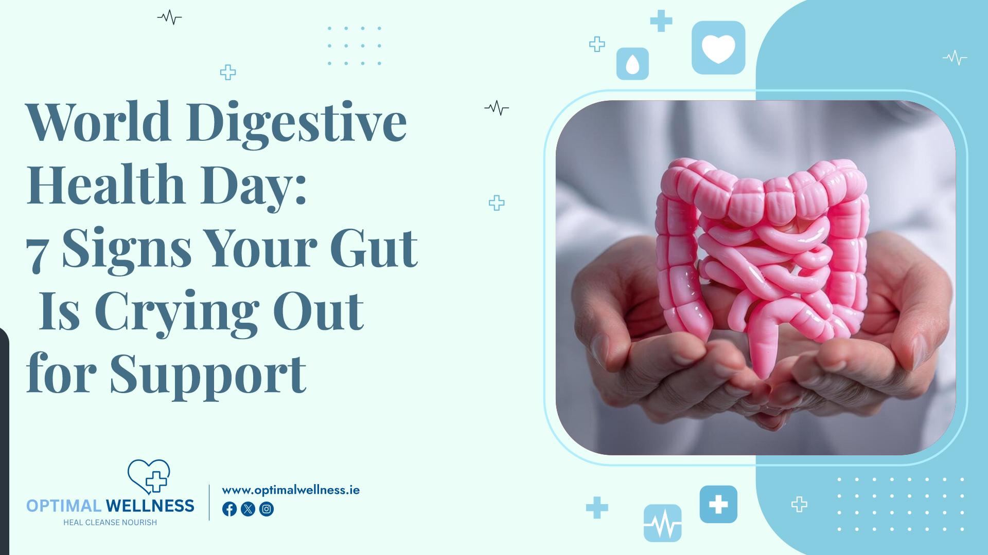 World Digestive Health Day 7 Signs Your Gut Is Crying Out for Support