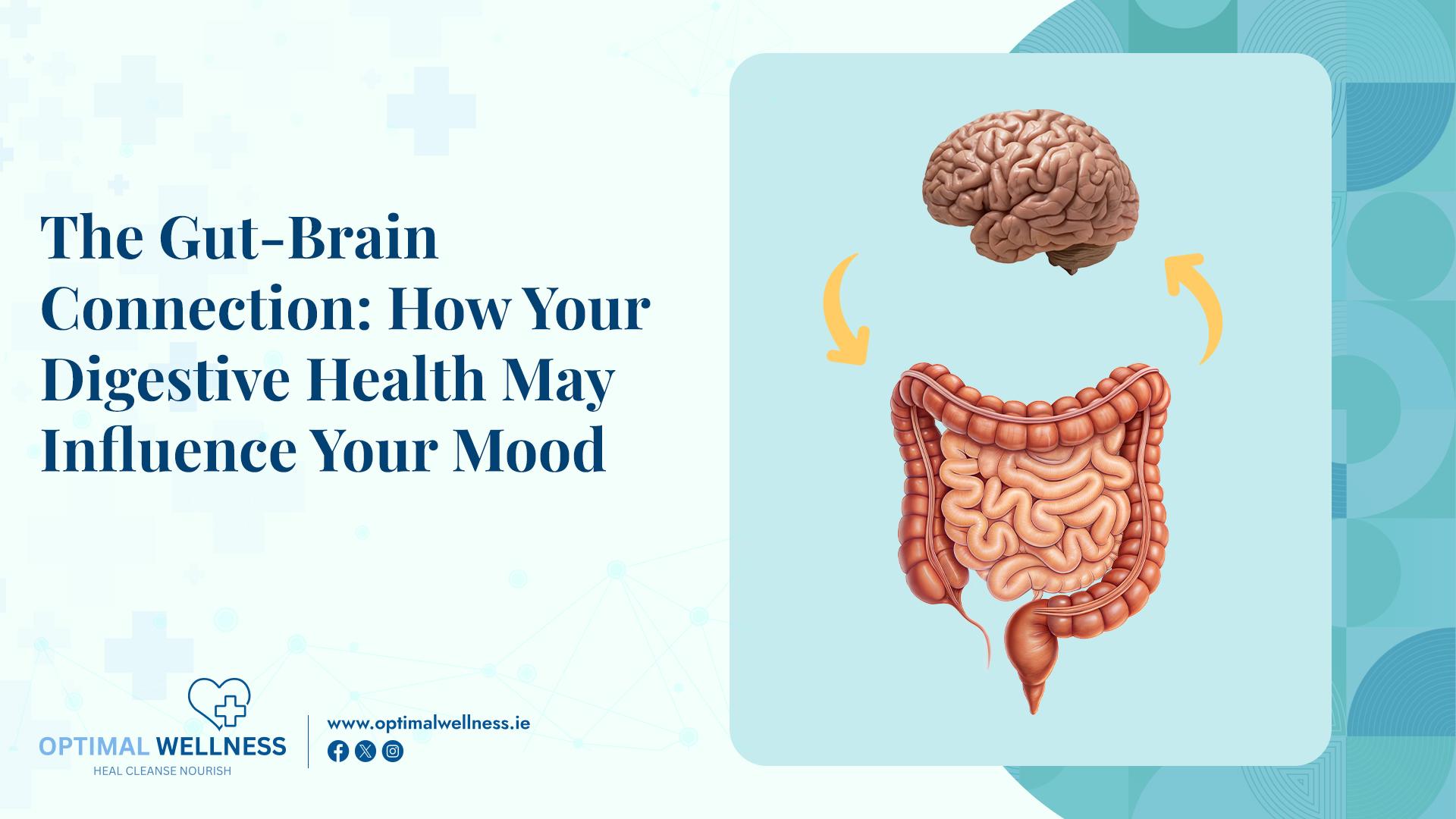 The Gut-Brain Connection: How Your Digestive Health May Influence Your Mood